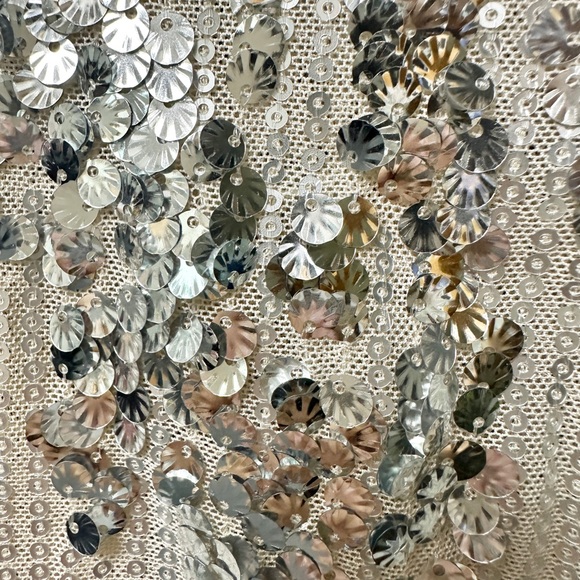 Forever 21 Glittering Silver Sequin Blouse - Picture 4 of 9